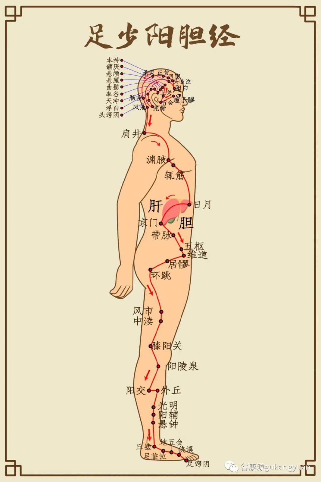 疏肝理气