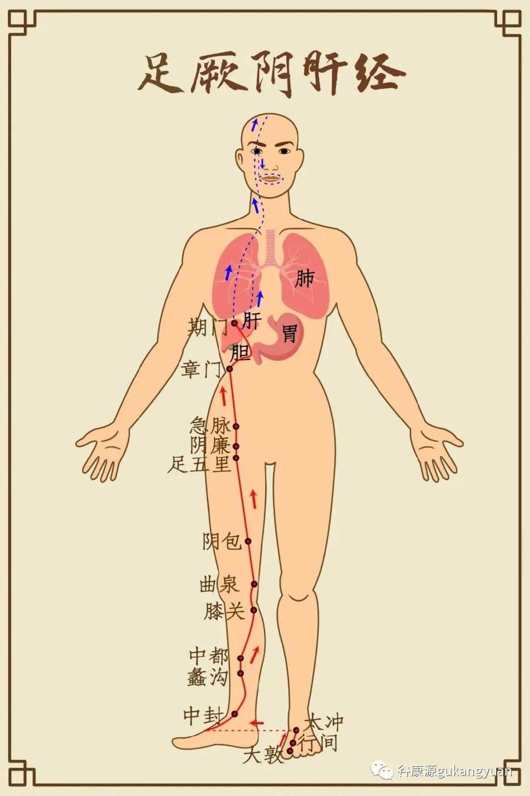 疏肝理气